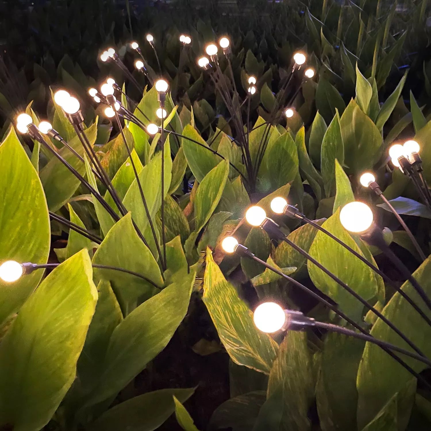 LuciolesSolaires | Charmantes Lumières LED Étoilées pour Jardin 0