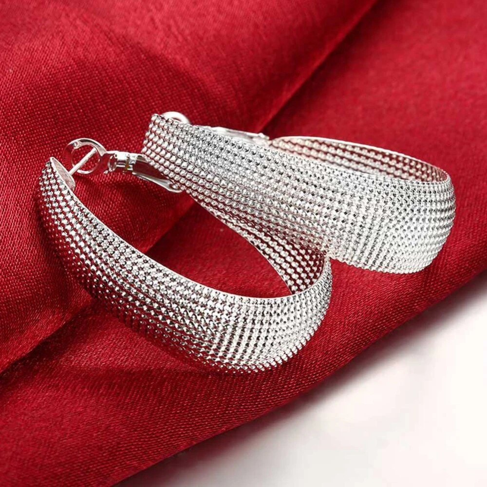 Boucles d'oreilles argent élégantes d'Europe