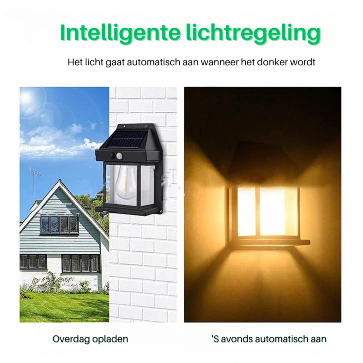 Spots Solaires LED Deluxe - Éclairage mural sans fil pour sublimer votre jardin