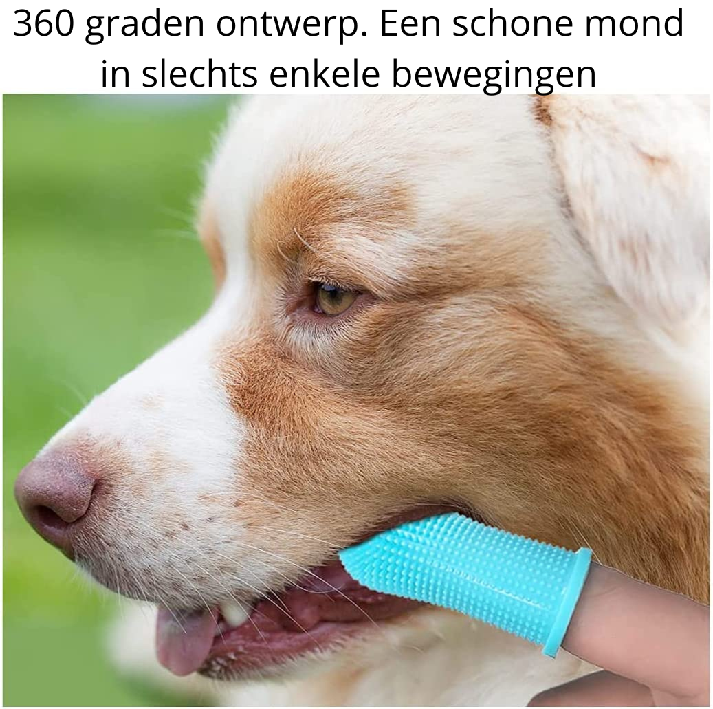 PawClean Pro - Soin Dentaire Sûr pour Chiens
