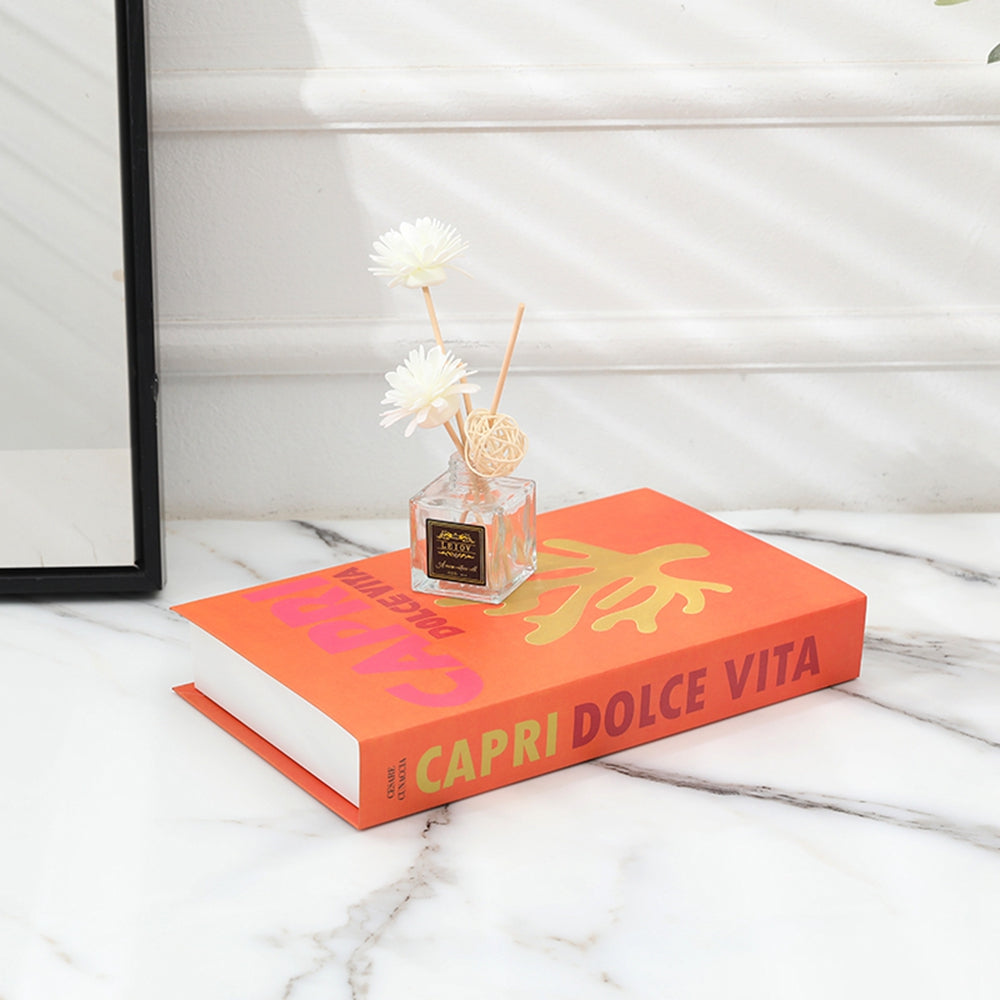 DecorativeBooks – Livres Décoratifs Joyeux Salon