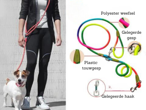 FreedomLeash - Laisse Chien Mains Libres Innovante