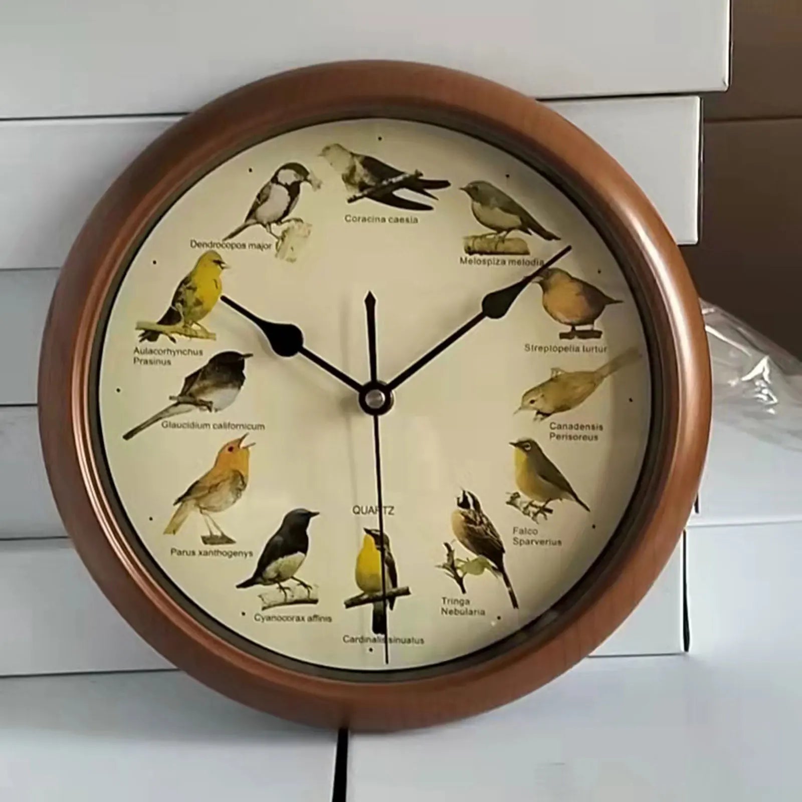 BirdSong Clock - Horloge murale 25 cm avec chants d'oiseaux