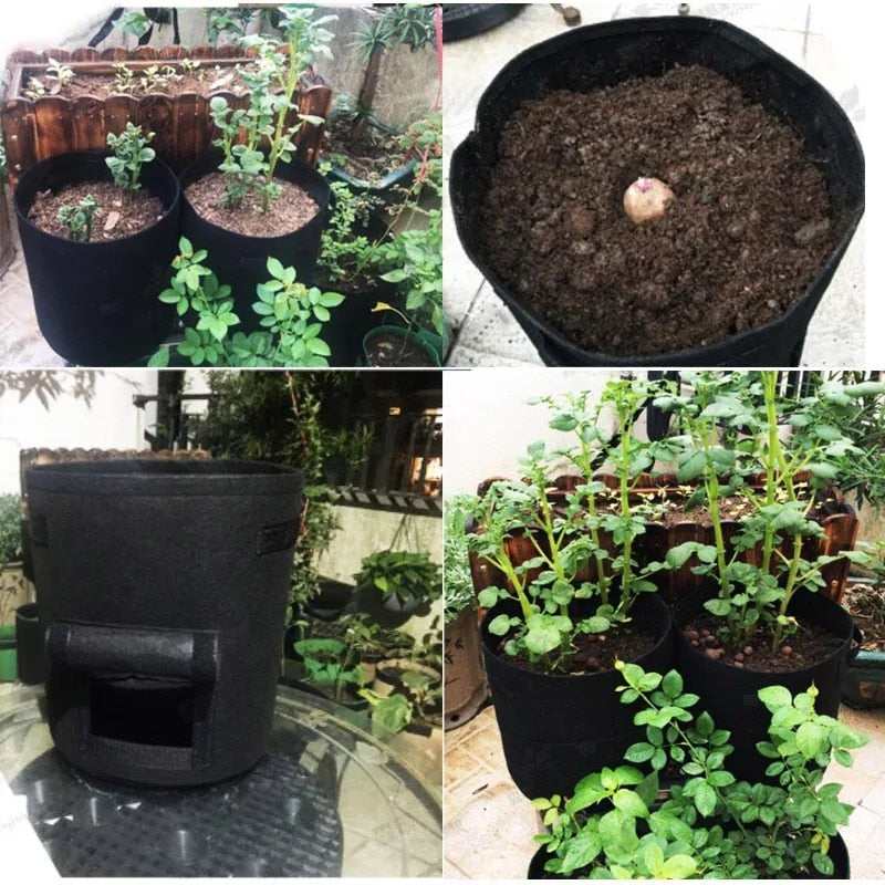 GrowMaster Pots – Pot de Culture Stylé pour Légumes