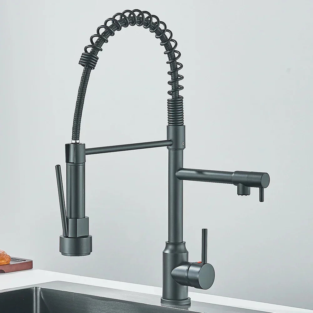 HydroFlex - Robinet de Cuisine Moderne à Double Sortie d'Eau