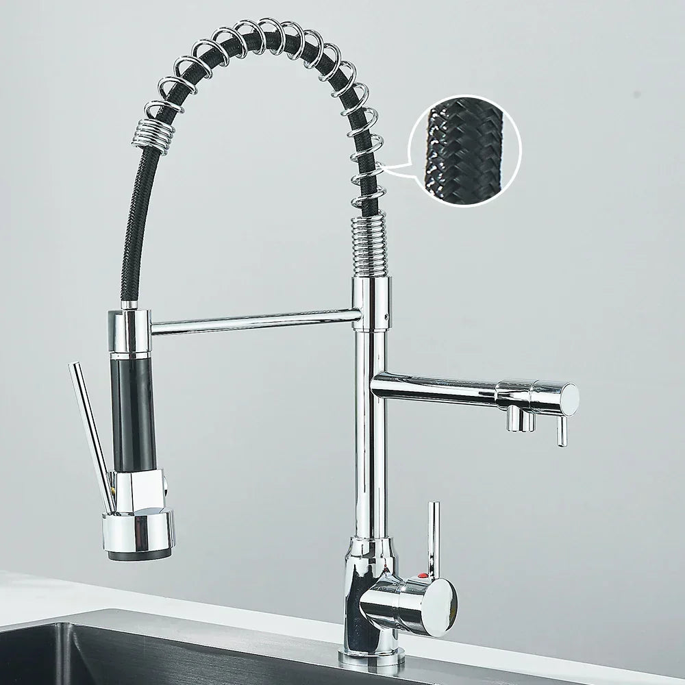 HydroFlex - Robinet de Cuisine Moderne à Double Sortie d'Eau