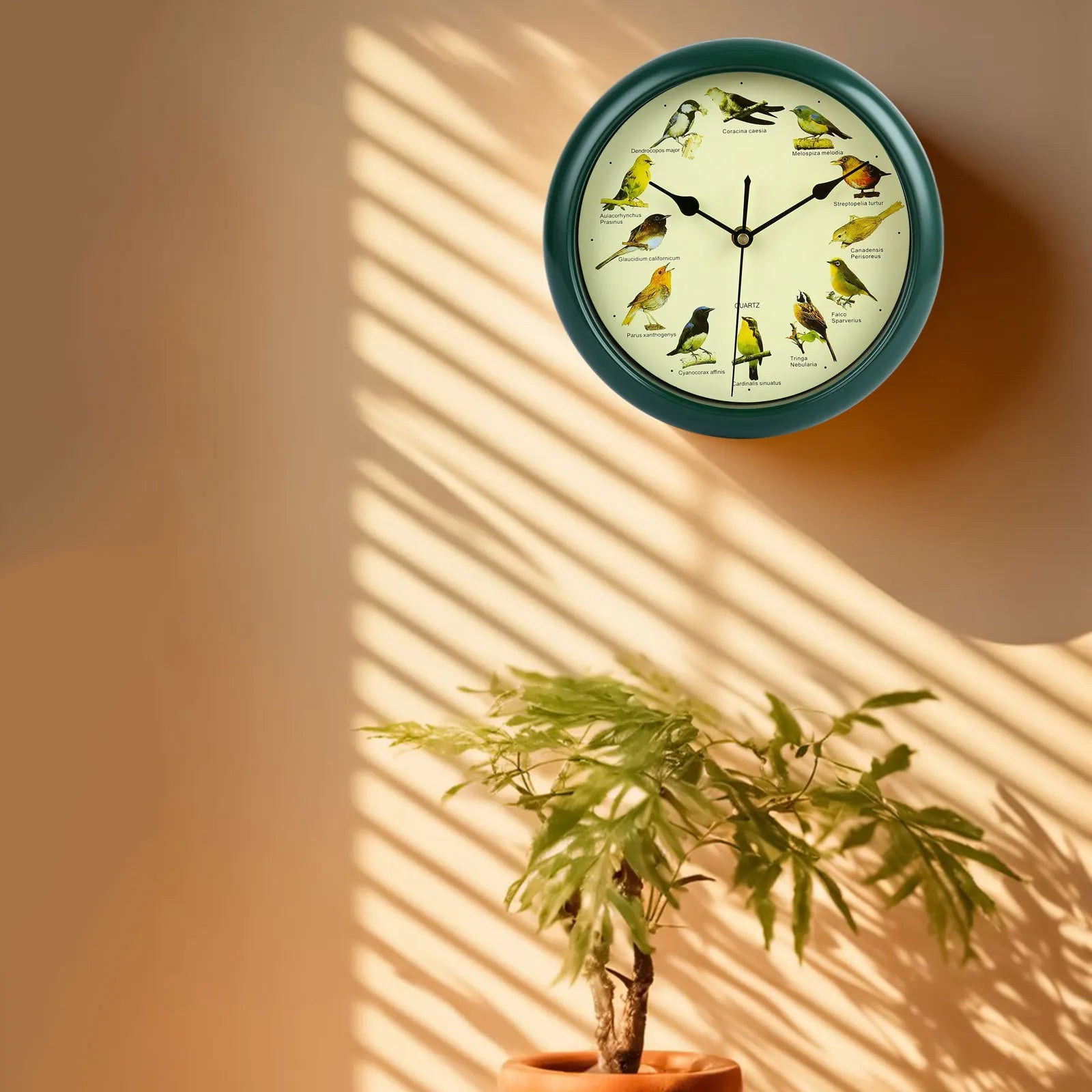 BirdSong Clock - Horloge murale 25 cm avec chants d'oiseaux