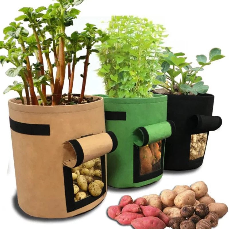 GrowMaster Pots – Pot de Culture Stylé pour Légumes
