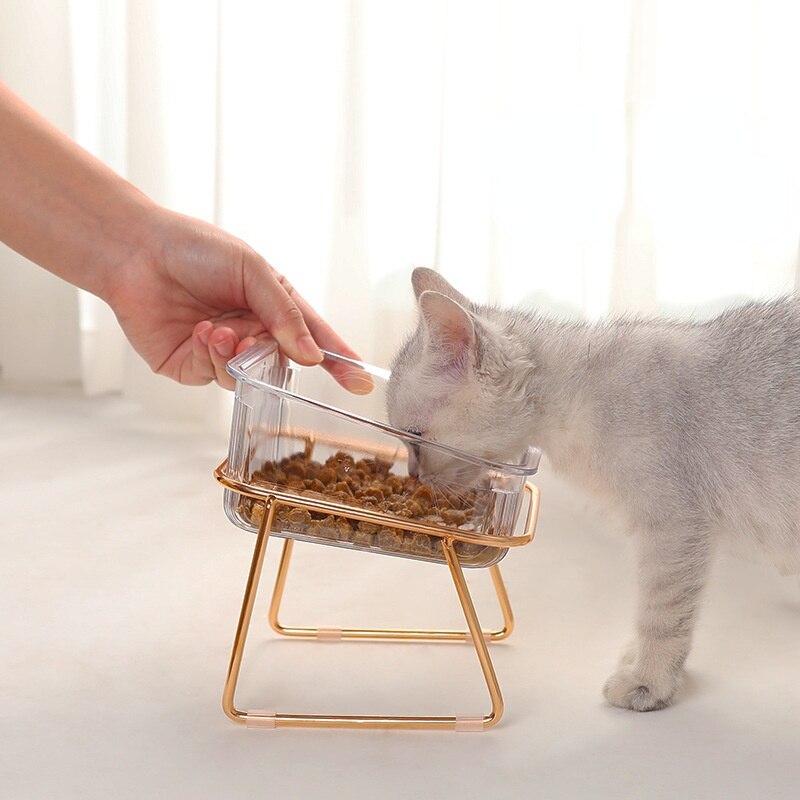 PetChic - Gamelle Tendance pour Animaux Stylés