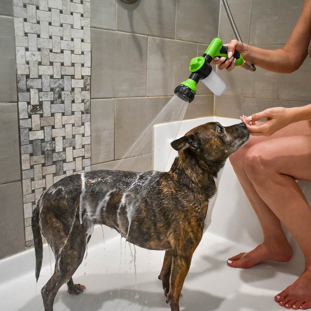 Dogjet Pro - Douchette de lavage pour chien à raccorder au tuyau