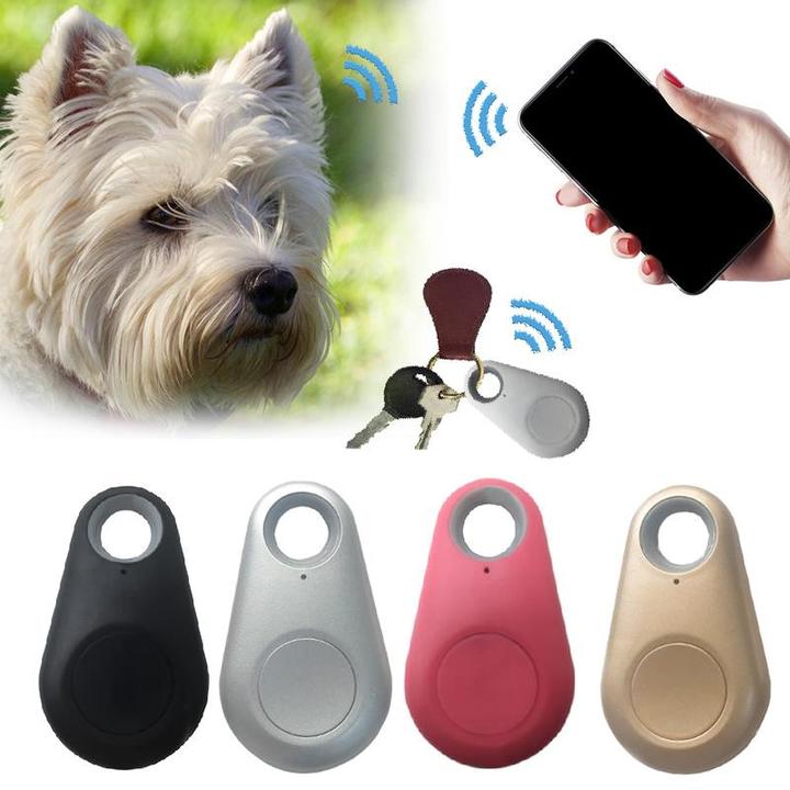Traceur GPS Compact pour Animaux de Compagnie avec Longue Autonomie | Suivi en Temps Réel pour Sécurité Maximale 2
