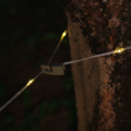 LumiTrail - Câble Lumineux LED Rechargeable USB-C Étanche