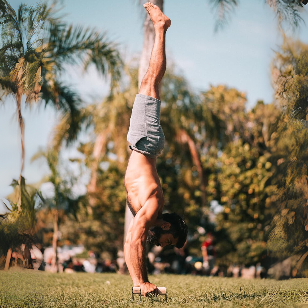 PowerGrip - Parallettes Bois Push-Up Antidérapantes
