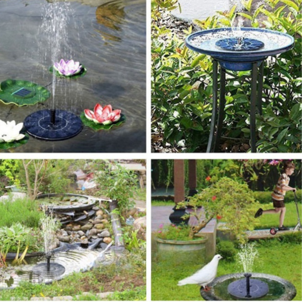 Birdbuddy - Fontaine à Oiseaux Solaire Écologique pour Jardin