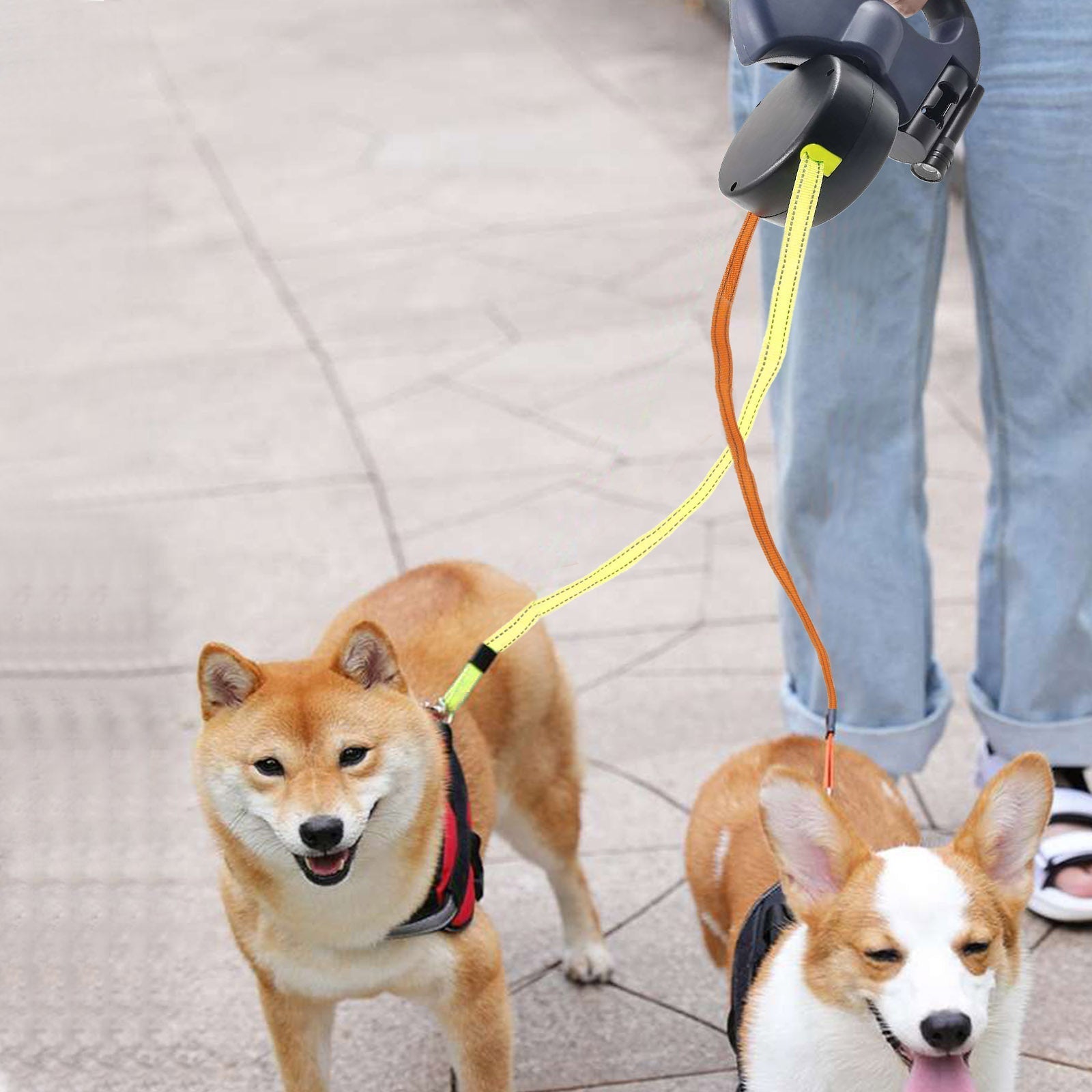 ProPet Duo Leash - Solution Ultime pour Chiens