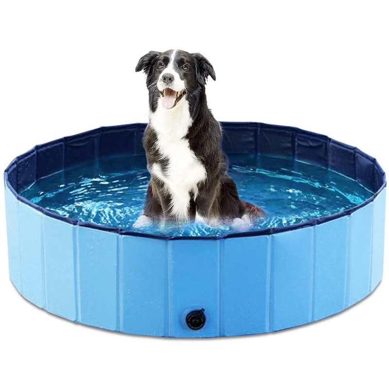 CoolPaws - Piscine Luxe pour Chiens au Jardin