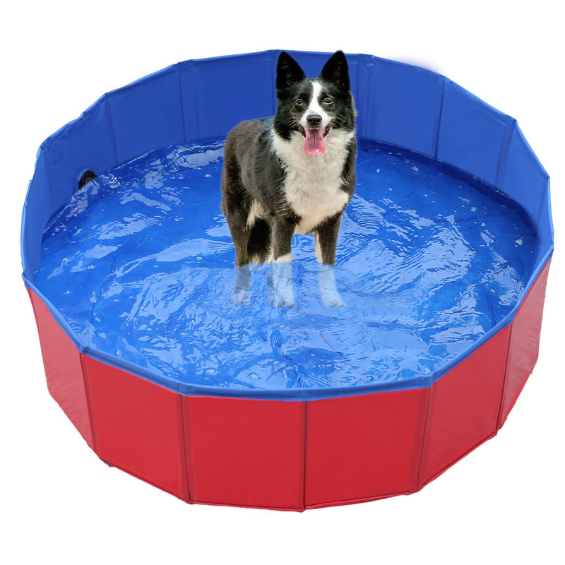 CoolPaws - Piscine Luxe pour Chiens au Jardin