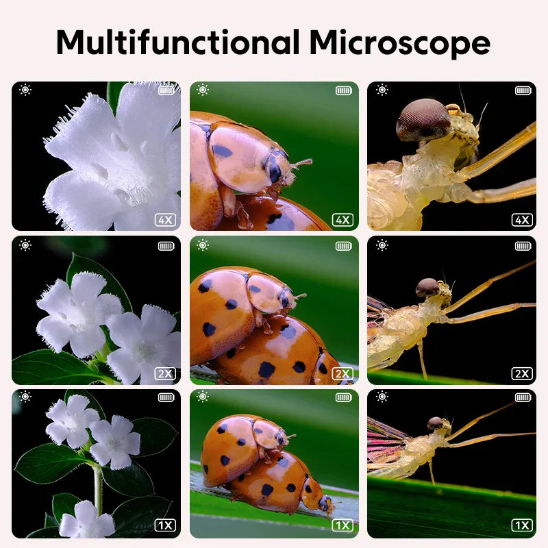 Mini Kids Microscope - Expérience scientifique magique pour enfants