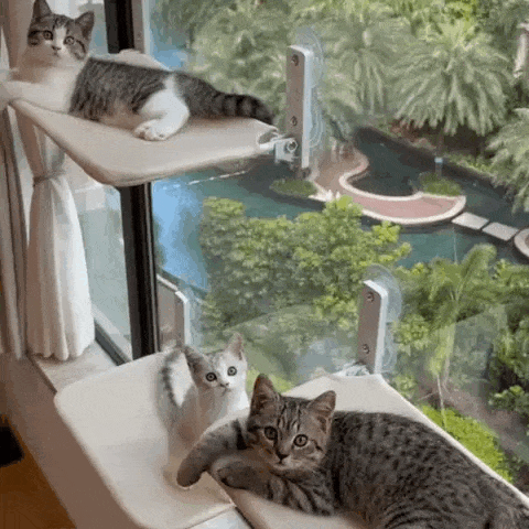 PawPerch - Hamac Chat Pliable Stylé sans Perçage