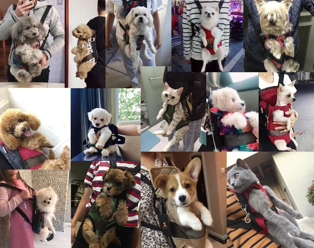 TravelBuddy Carrier - Sac Voyage Animal Confort Luxe